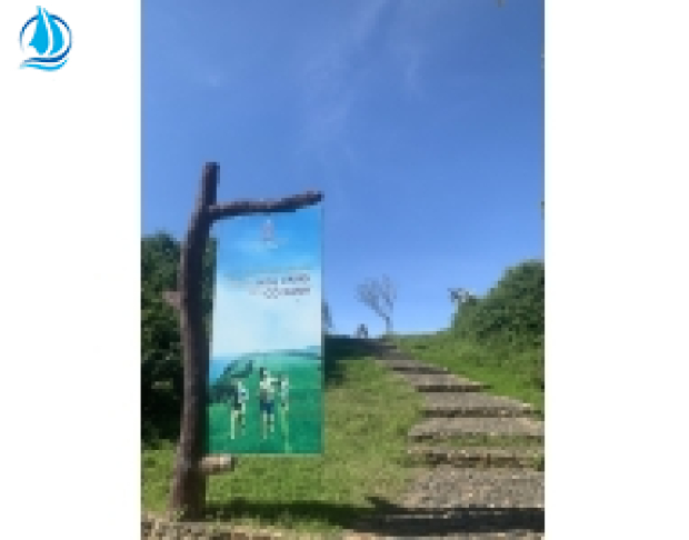 TOUR PHÚ YÊN- NHÀ THỜ MẰNG LĂNG- GHÀNH ĐÁ ĐĨA- HOA VÀNG CỎ XANH